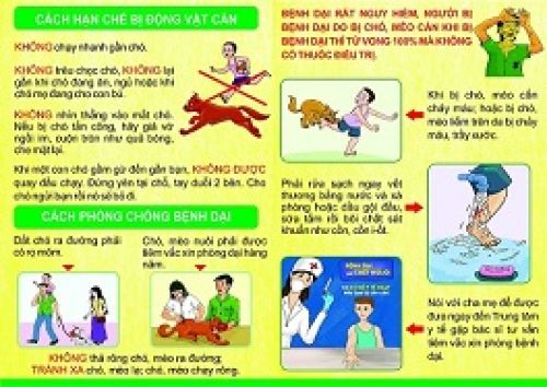 Phát Thanh: Bệnh dại và cách phòng tránh