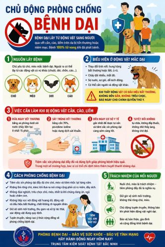Infographic - Chủ động phòng chống bệnh dại